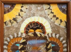 Pamono Vintage Brazilian Inlaid Wood Tray with Real Morpho Butterfly Wings><noscript><img width=