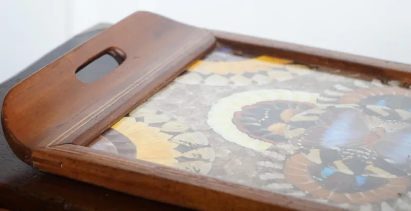 Pamono Vintage Brazilian Inlaid Wood Tray with Real Morpho Butterfly Wings> Trays