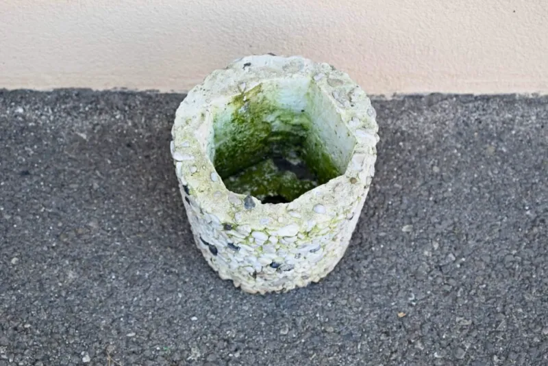 Outlet Pamono Vintage Concrete Flower Pot