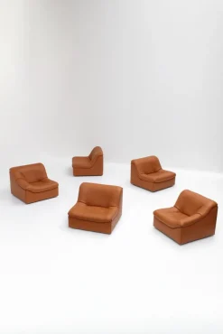 Pamono Vintage DS46 Modular Leather Sofa from De Sede, 1970s, Set of 5> Couches & Sofas