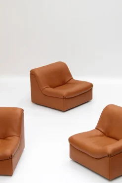 Pamono Vintage DS46 Modular Leather Sofa from De Sede, 1970s, Set of 5><noscript><img width=