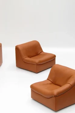 Pamono Vintage DS46 Modular Leather Sofa from De Sede, 1970s, Set of 5><noscript><img width=