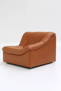 Pamono Vintage DS46 Modular Leather Sofa from De Sede, 1970s, Set of 5><noscript><img width=