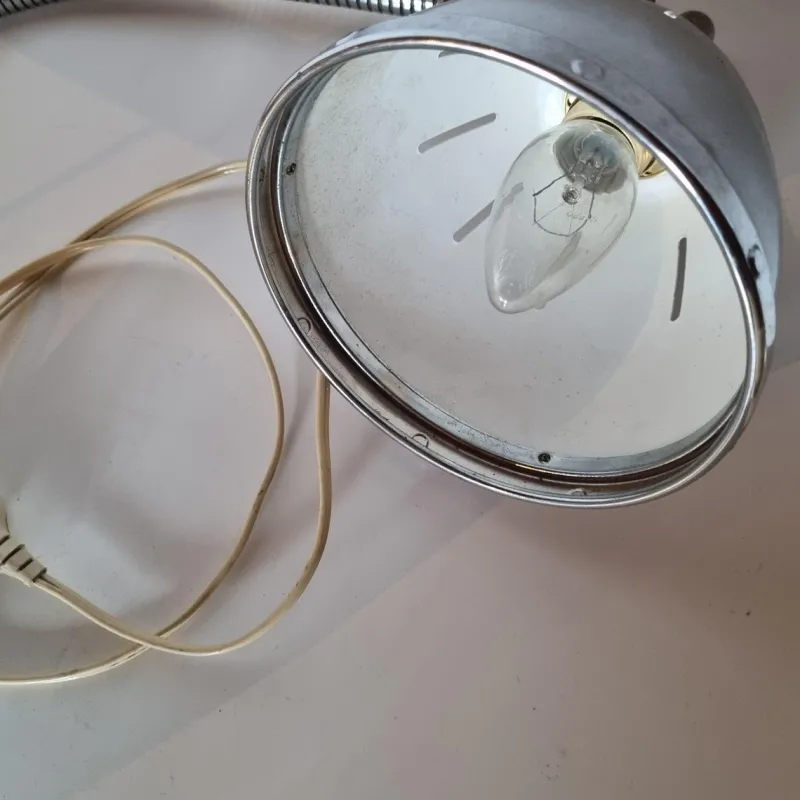 Pamono Vintage Elaul Desk Lamp, 1970s> Table Lamps