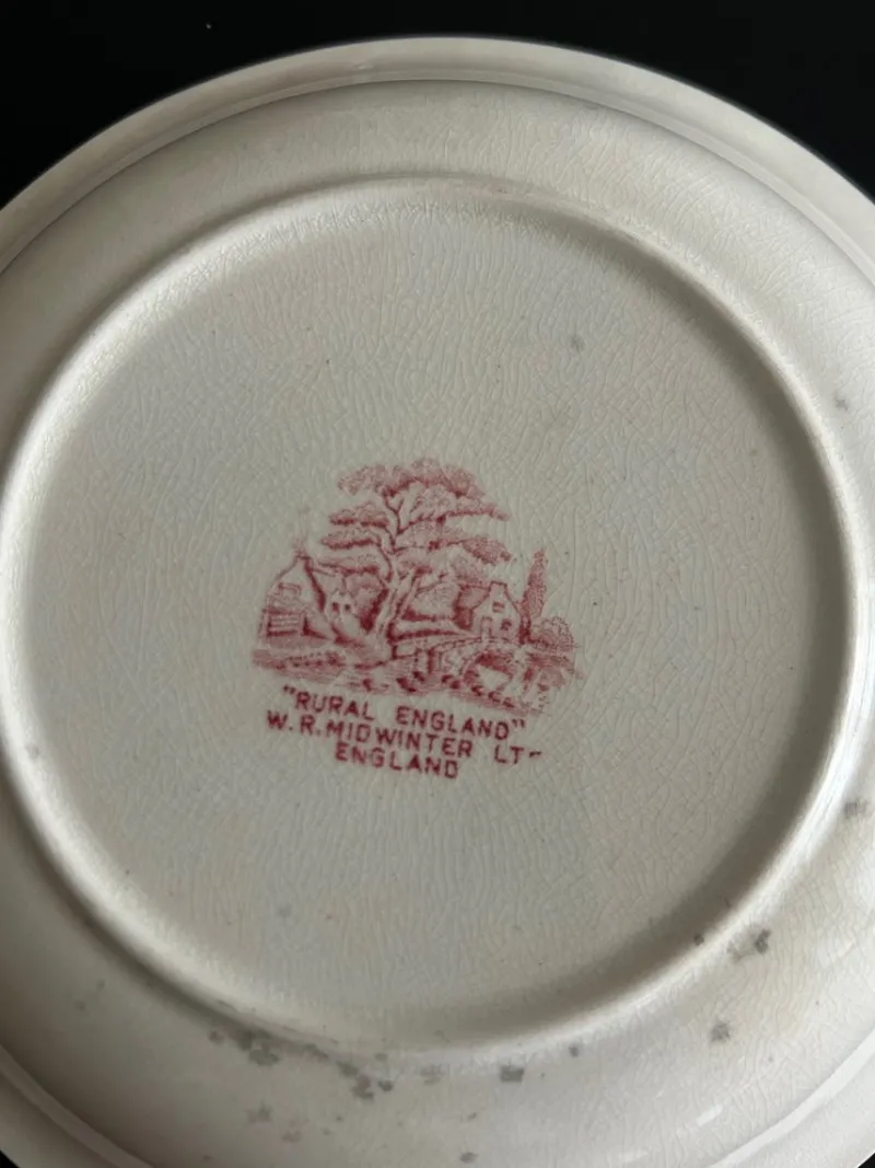 Pamono Vintage English Plates, 1950s, Set of 4