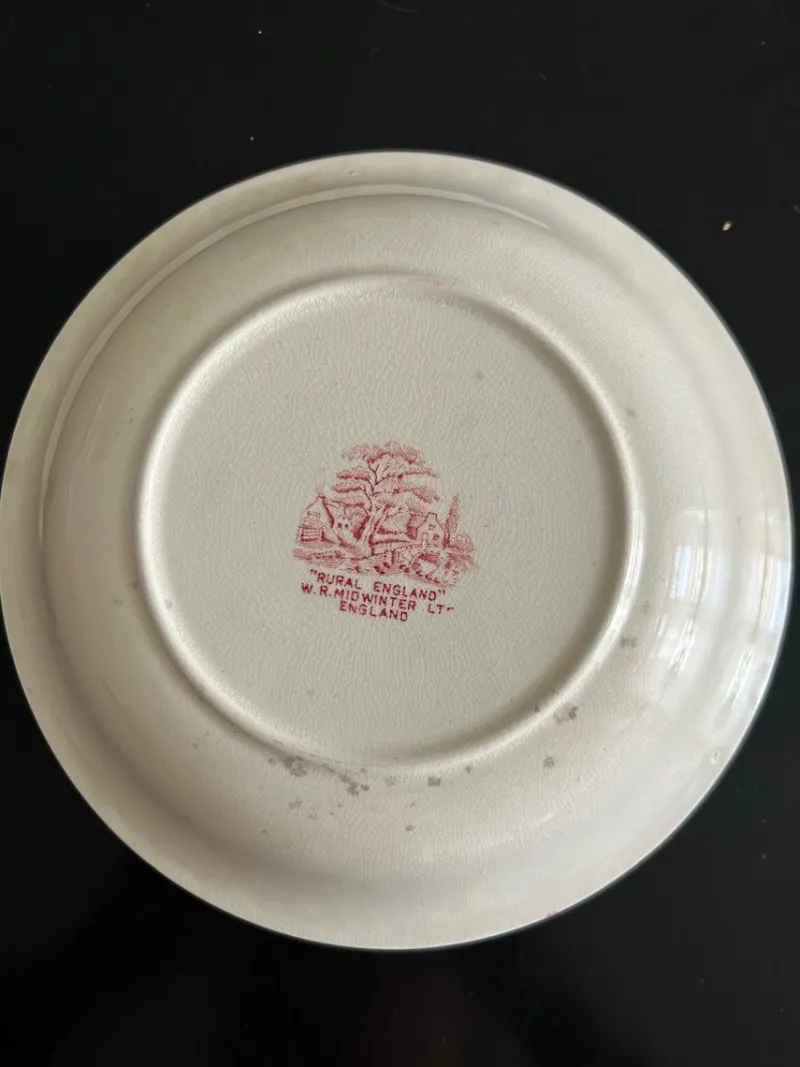Pamono Vintage English Plates, 1950s, Set of 4
