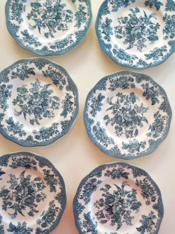 Online Pamono Vintage English Wedgwood Plates with Asiatic Pheasants Decoration in Teal, 1970s