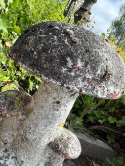 Pamono Vintage French Concrete Stone Garden Mushroom, 1950s><noscript><img width=