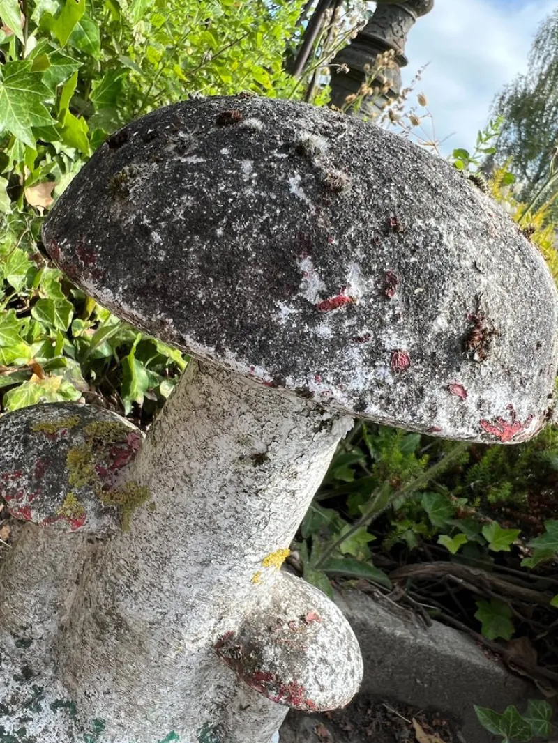 Pamono Vintage French Concrete Stone Garden Mushroom, 1950s> Garden Accessories