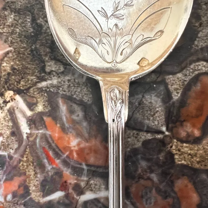 Pamono Vintage French Ice Cream Spoon in Sterling Silver and Chiseled Vermeil, 1920s, Set of 6> Cutlery & Serving Utensils