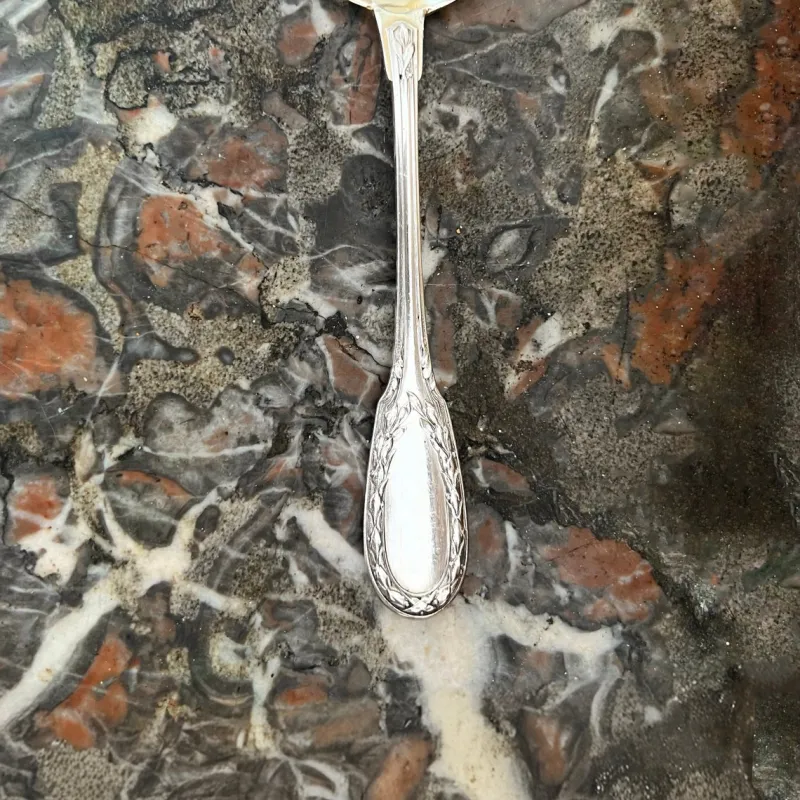 Pamono Vintage French Ice Cream Spoon in Sterling Silver and Chiseled Vermeil, 1920s, Set of 6> Cutlery & Serving Utensils