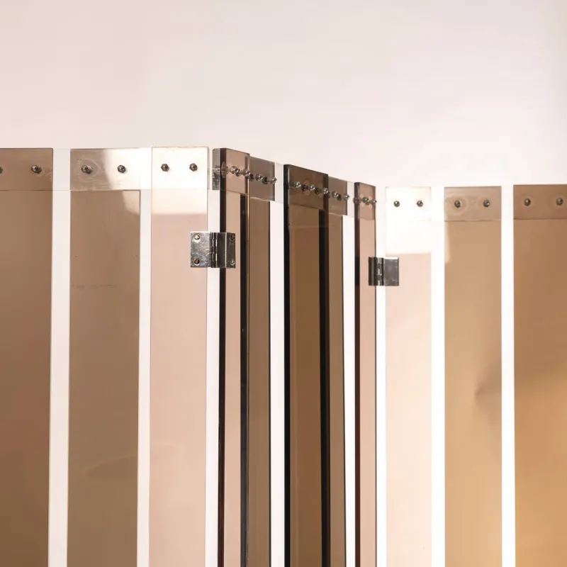 Discount Pamono Vintage French 4-Panel Screen in Smoked Acrylic Glass attributed to Philippe Jean, 1970s