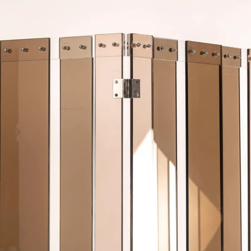 Discount Pamono Vintage French 4-Panel Screen in Smoked Acrylic Glass attributed to Philippe Jean, 1970s