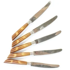 Clearance Pamono Vintage German Bakelite Knives, 1950s, Set of 5