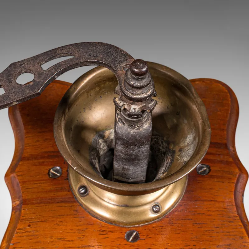 Pamono Vintage German Manual Coffee Grinder in Oak, 1930> Coffee & Tea Service