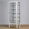 Outlet Pamono Vintage Iron and Glass Medical Cabinet, 1970s