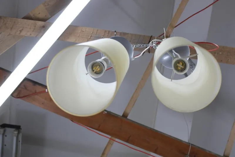 Pamono Vintage Italian Aureliano Toso Glass Pendant Lights, 1980s, Set of 2> Ceiling Lights