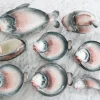 Pamono Vintage Italian Keramik Fish Service by R. Blanche, 1960s, Set of 16> Serving Dishes
