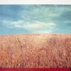 Pamono Vintage Italian La Collina Print by Luigi Ghirri for A. Villani & Figli, 1976