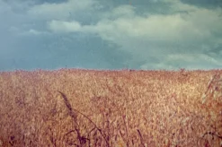 Pamono Vintage Italian La Collina Print by Luigi Ghirri for A. Villani & Figli, 1976