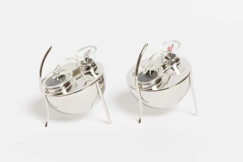 Pamono Vintage Model Opasis Oil and Vinegar Set by Enzo Mari for Zani Zani, Set of 2