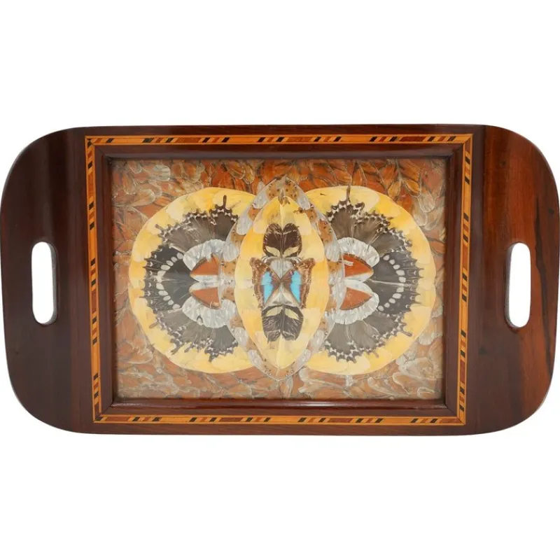 Pamono Vintage Morpho Butterfly Tray, 1940s> Trays