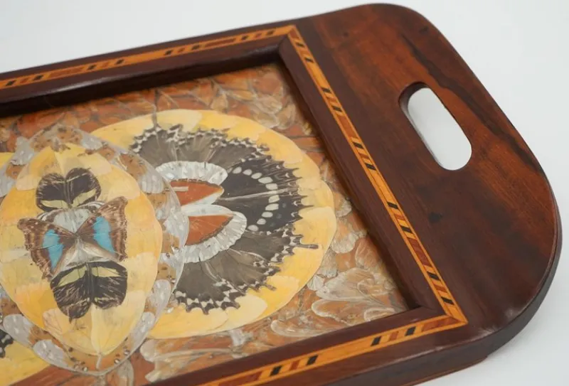 Pamono Vintage Morpho Butterfly Tray, 1940s> Trays