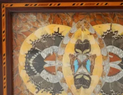 Pamono Vintage Morpho Butterfly Tray, 1940s><noscript><img width=