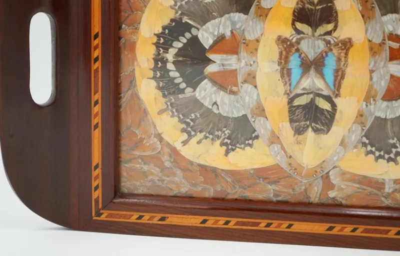 Pamono Vintage Morpho Butterfly Tray, 1940s> Trays