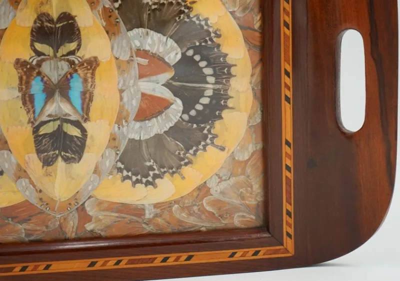 Pamono Vintage Morpho Butterfly Tray, 1940s> Trays