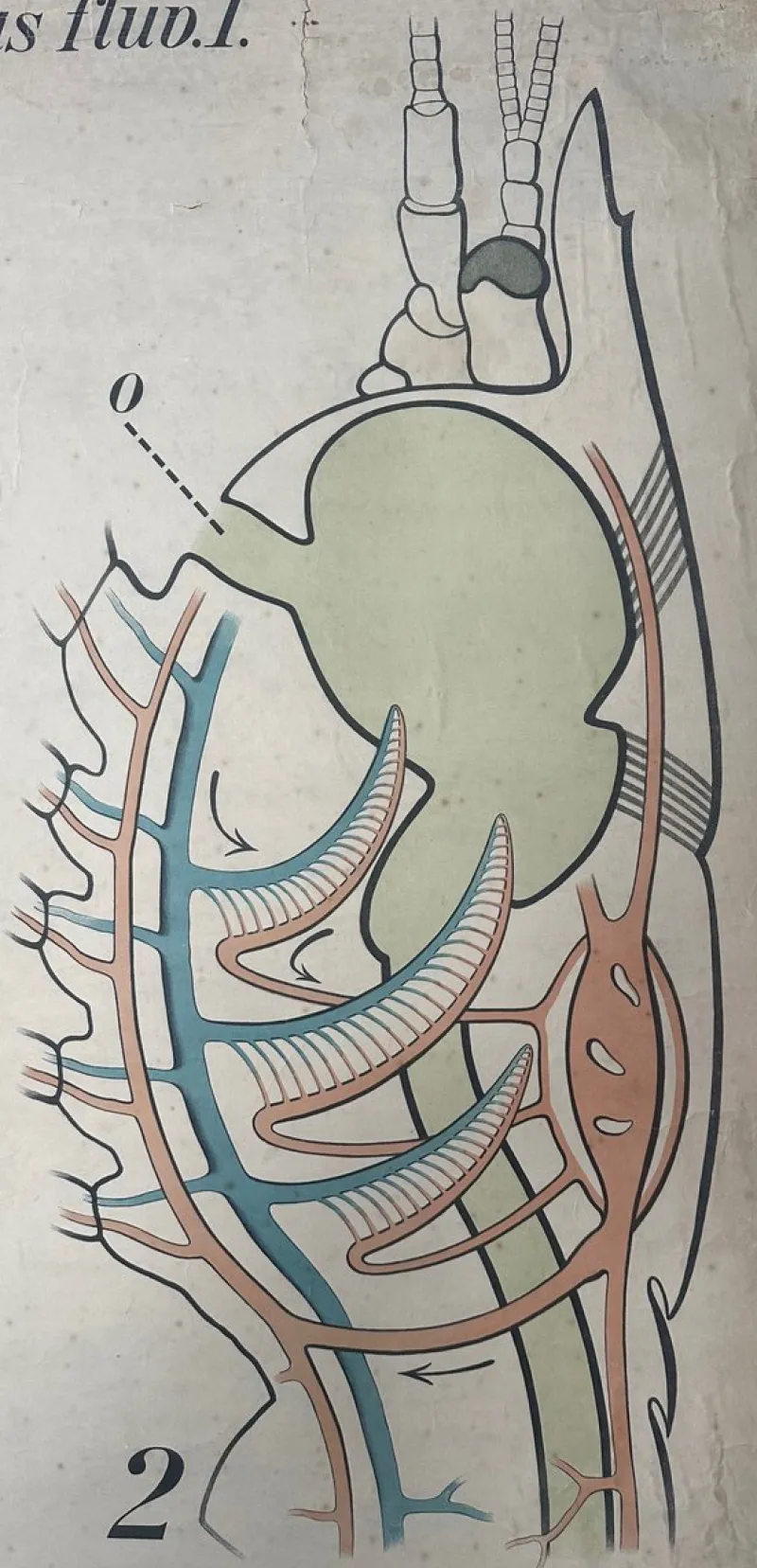 Hot Pamono Vintage Periodic Table of the Elements School Chart in Linen by Paul Pfurtscheller, 1920s