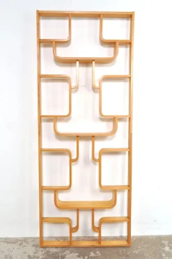 Pamono Vintage Room Divider by Ludvik Volak for Drevopodnik Holesov, 1950s> Room Dividers & Screens