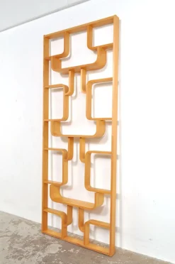 Pamono Vintage Room Divider by Ludvik Volak for Drevopodnik Holesov, 1950s><noscript><img width=