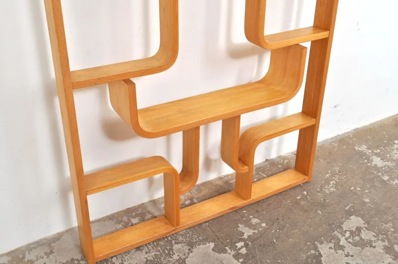 Pamono Vintage Room Divider by Ludvik Volak for Drevopodnik Holesov, 1950s> Room Dividers & Screens