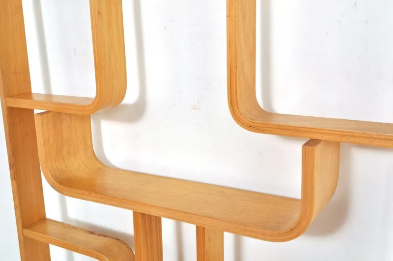 Pamono Vintage Room Divider by Ludvik Volak for Drevopodnik Holesov, 1950s> Room Dividers & Screens