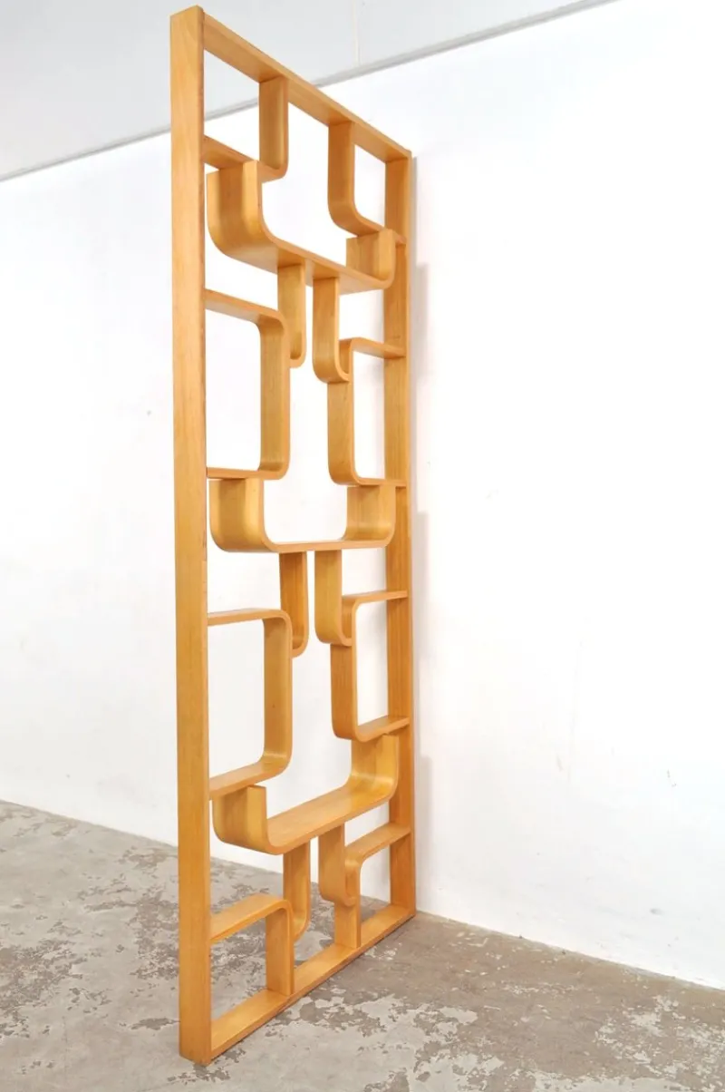 Pamono Vintage Room Divider by Ludvik Volak for Drevopodnik Holesov, 1950s> Room Dividers & Screens
