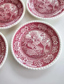 Sale Pamono Vintage Rusticana Dinner Plates from Villeroy & Boch, 1970s, Set of 4