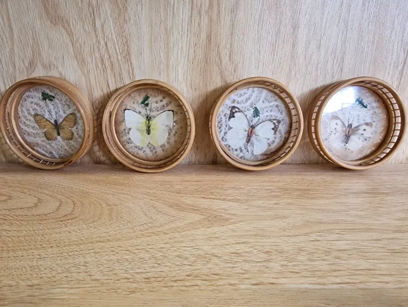 Discount Pamono Vintage Tray with Four Glass Coasters, Set of 5