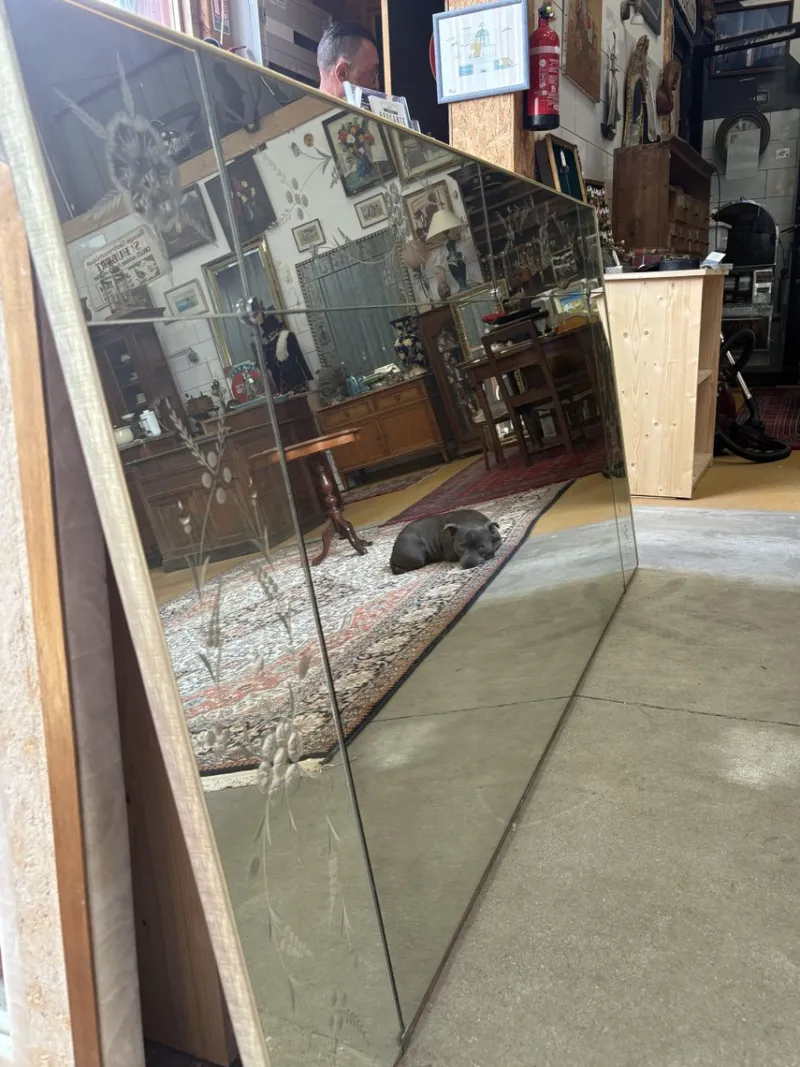 Online Pamono Vintage Wall Mirror with Refined Floral Engravings, 1960s