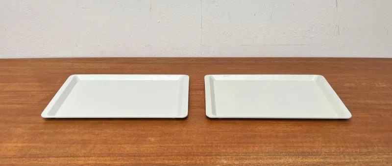 Best Pamono Vintage West German Fiberglass Plastic Trays from Presswerk Köngen, Set of 2
