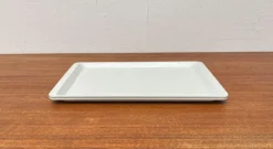Best Pamono Vintage West German Fiberglass Plastic Trays from Presswerk Köngen, Set of 2