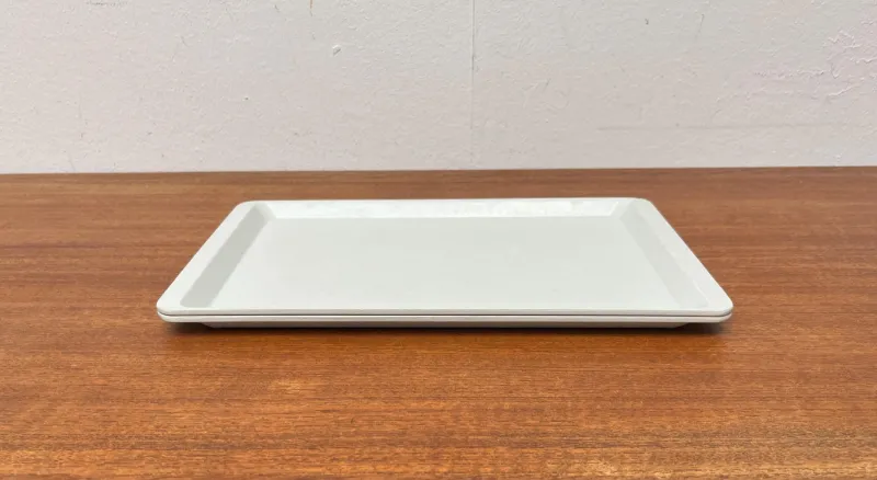 Best Pamono Vintage West German Fiberglass Plastic Trays from Presswerk Köngen, Set of 2