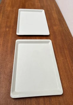 Best Pamono Vintage West German Fiberglass Plastic Trays from Presswerk Köngen, Set of 2