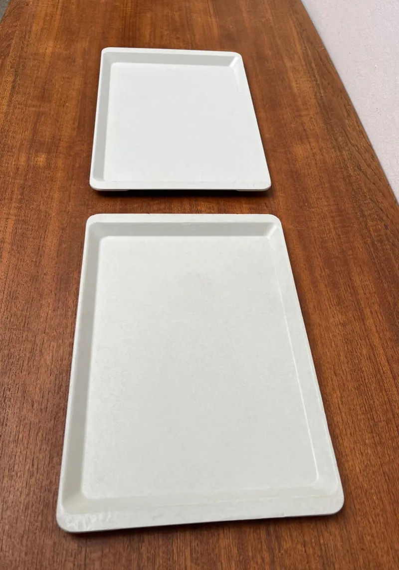 Best Pamono Vintage West German Fiberglass Plastic Trays from Presswerk Köngen, Set of 2