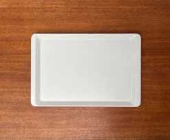 Best Pamono Vintage West German Fiberglass Plastic Trays from Presswerk Köngen, Set of 2