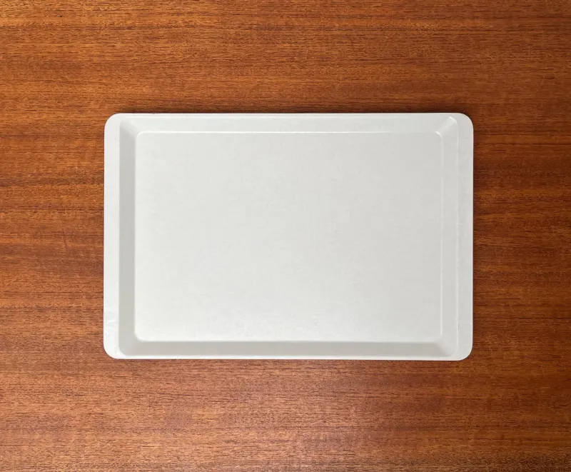 Best Pamono Vintage West German Fiberglass Plastic Trays from Presswerk Köngen, Set of 2