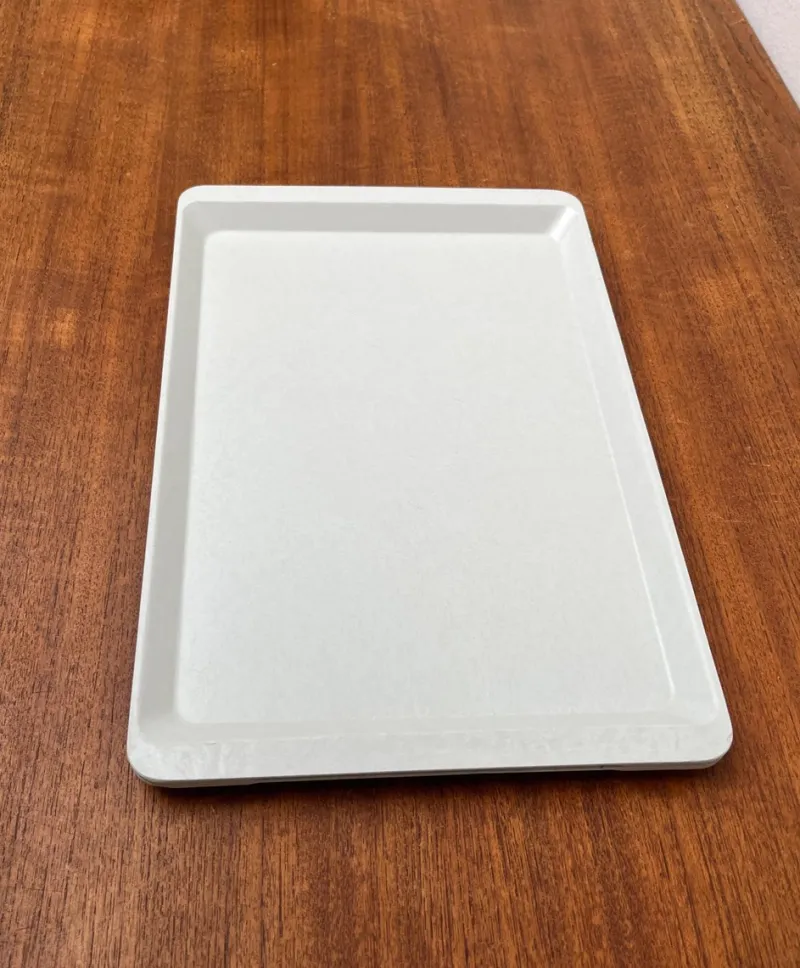 Best Pamono Vintage West German Fiberglass Plastic Trays from Presswerk Köngen, Set of 2