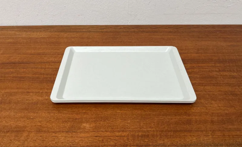 Best Pamono Vintage West German Fiberglass Plastic Trays from Presswerk Köngen, Set of 2