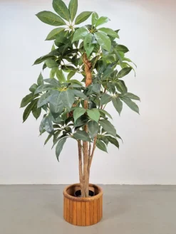 Pamono Vintage Wooden Indoor Planter, 1960s><noscript><img width=