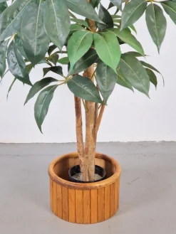 Pamono Vintage Wooden Indoor Planter, 1960s><noscript><img width=